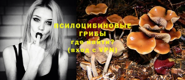 прущие крисы Абдулино