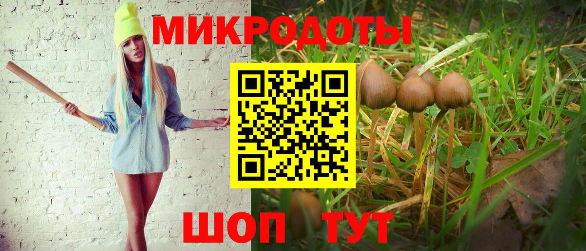 Псилоцибиновые грибы Psilocybe  Вход с VPN  Псилоцибиновые грибы Psilocybe  Белая Калитва 