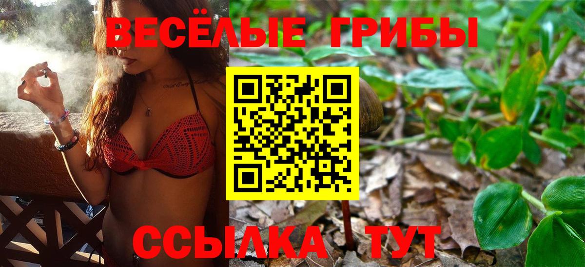 Псилоцибиновые грибы Magic Shrooms Белая Калитва